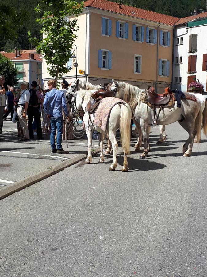 Les Mirabelles Chambres D'Hotes Sisteron Exteriör bild