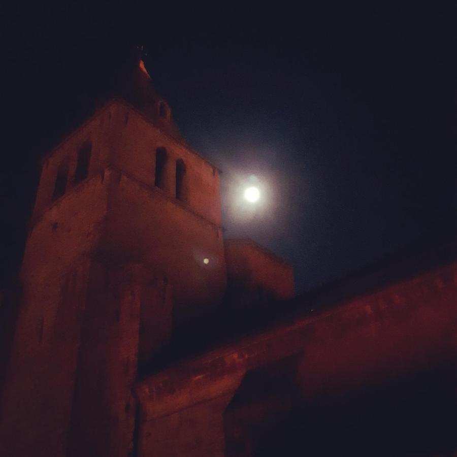 Les Mirabelles Chambres D'Hotes Sisteron Exteriör bild
